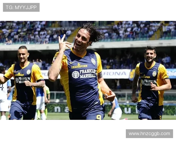 奎斯塔赞维罗纳顽强有序佩帅楷模